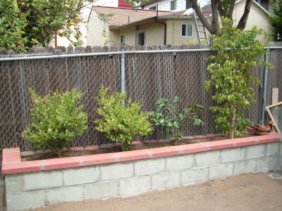 Capped planter with new plants